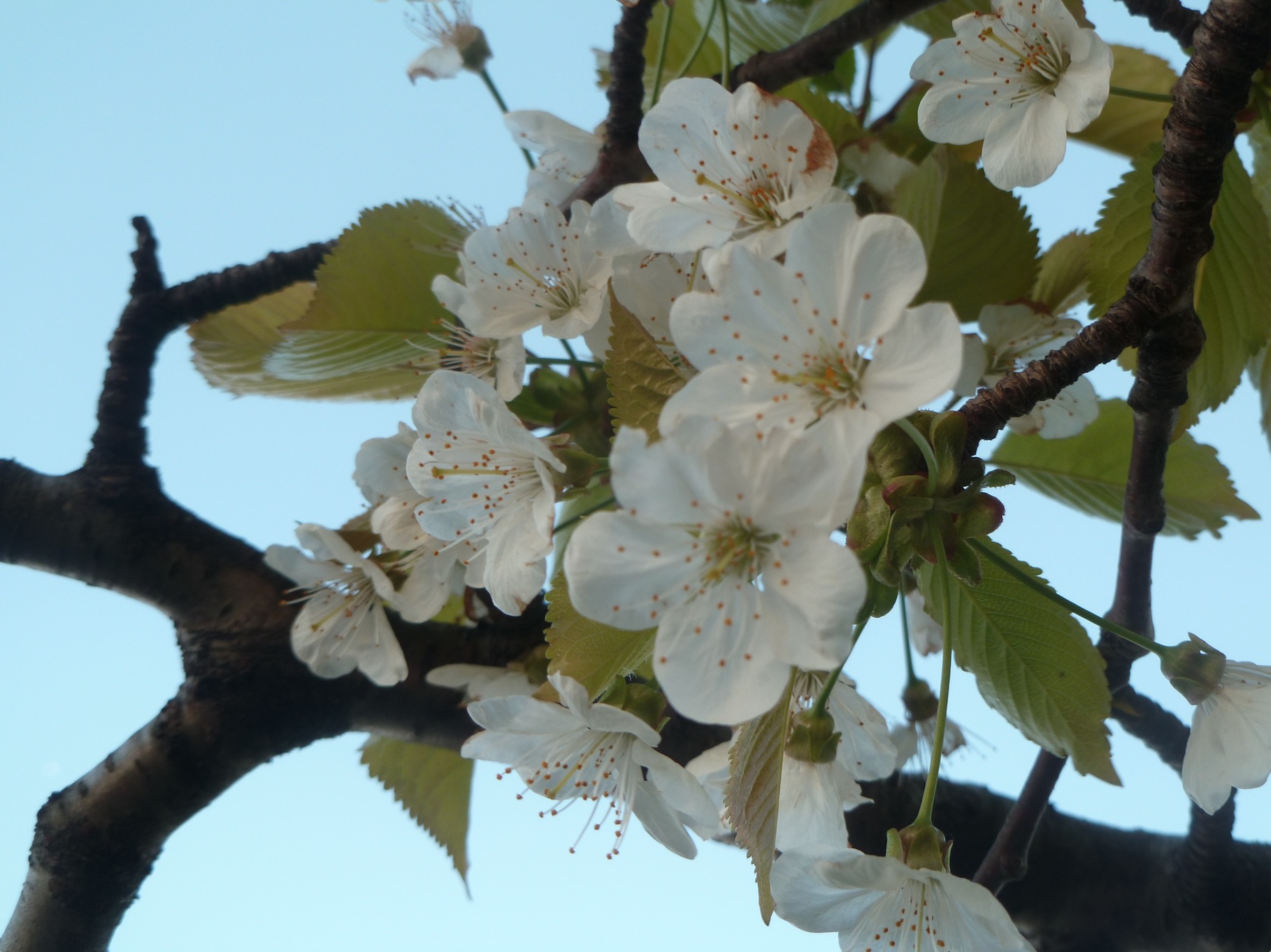 Retour sur les Veillées de printemps