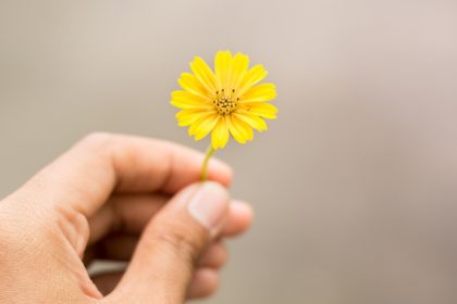 Le stratagème d'Esther réussira-t'il ? étude biblique œcuménique