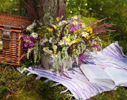 Un livre, un soir, un jardin!