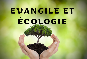 Formation "Évangile et écologie"