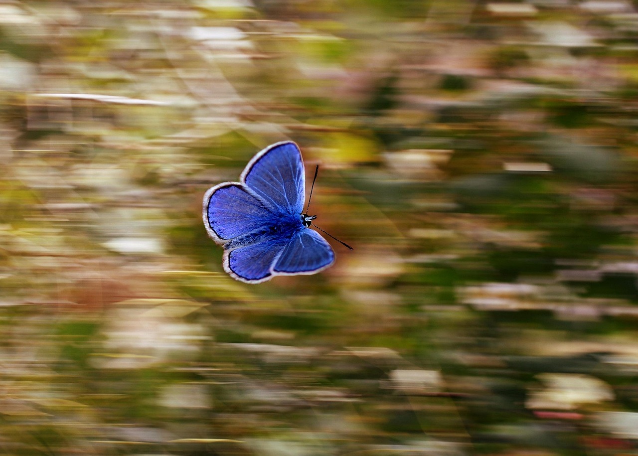 Respire, Espère