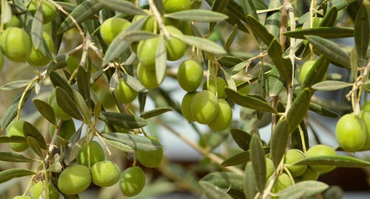 Le mot du trésorier