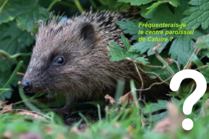 Temps pour la Création. Mission hérisson