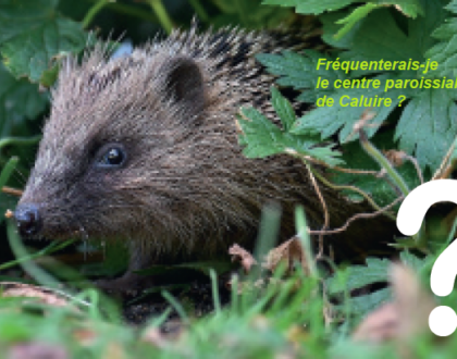 Temps pour la Création. Mission hérisson