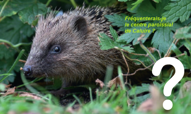 Temps pour la Création. Mission hérisson