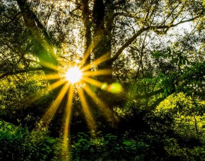 Conférence-Débat "Oser l'espérance"