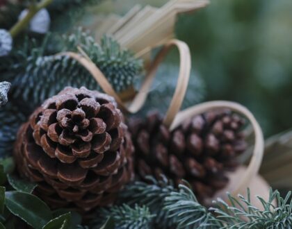 POUR CELEBRER L’AVENT