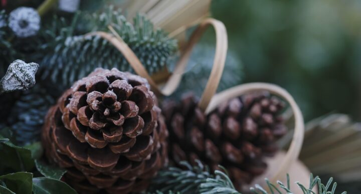 POUR CELEBRER L’AVENT