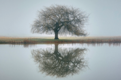 Le Temps pour la Création