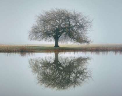 Le Temps pour la Création