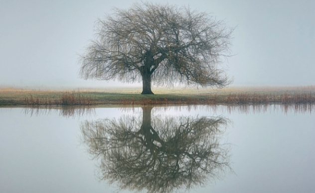 Le Temps pour la Création