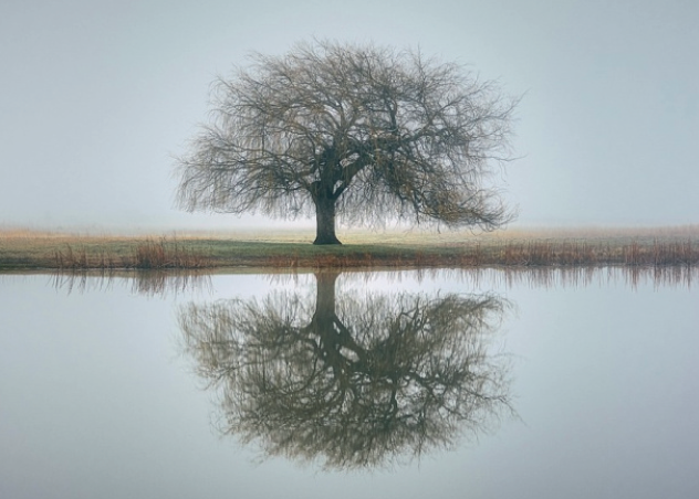 Le Temps pour la Création