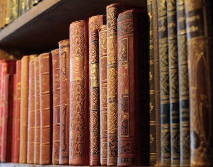 Quelques mots sur la Bibliothèque