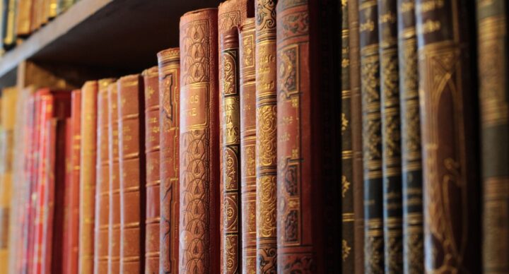 Quelques mots sur la Bibliothèque