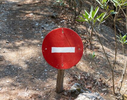 Église universelle et nationalisme politique