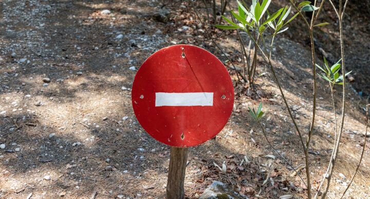 Église universelle et nationalisme politique