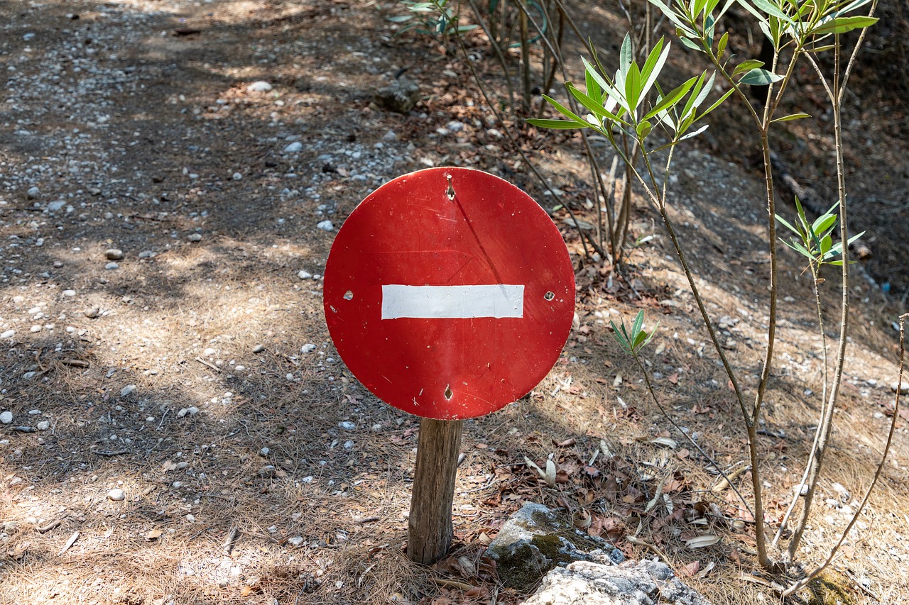 Église universelle et nationalisme politique