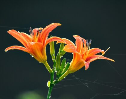 Café-débat A quoi sert-il de prier?